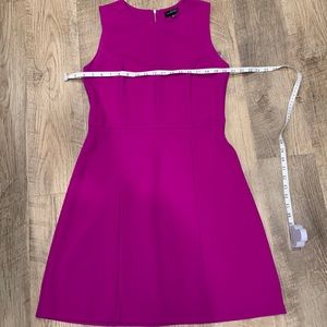 The Limited Fit and Flare Magenta Dress